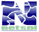 (NETSOL LOGO)